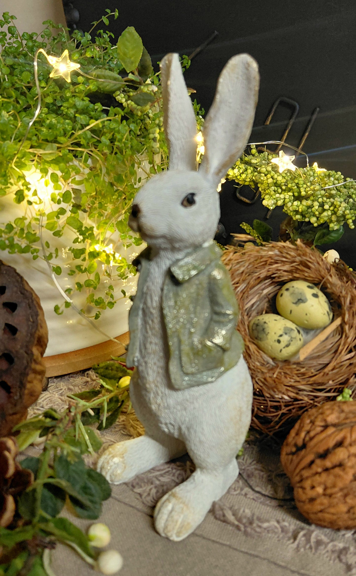 Peanut The Bunny from Yorkshire
