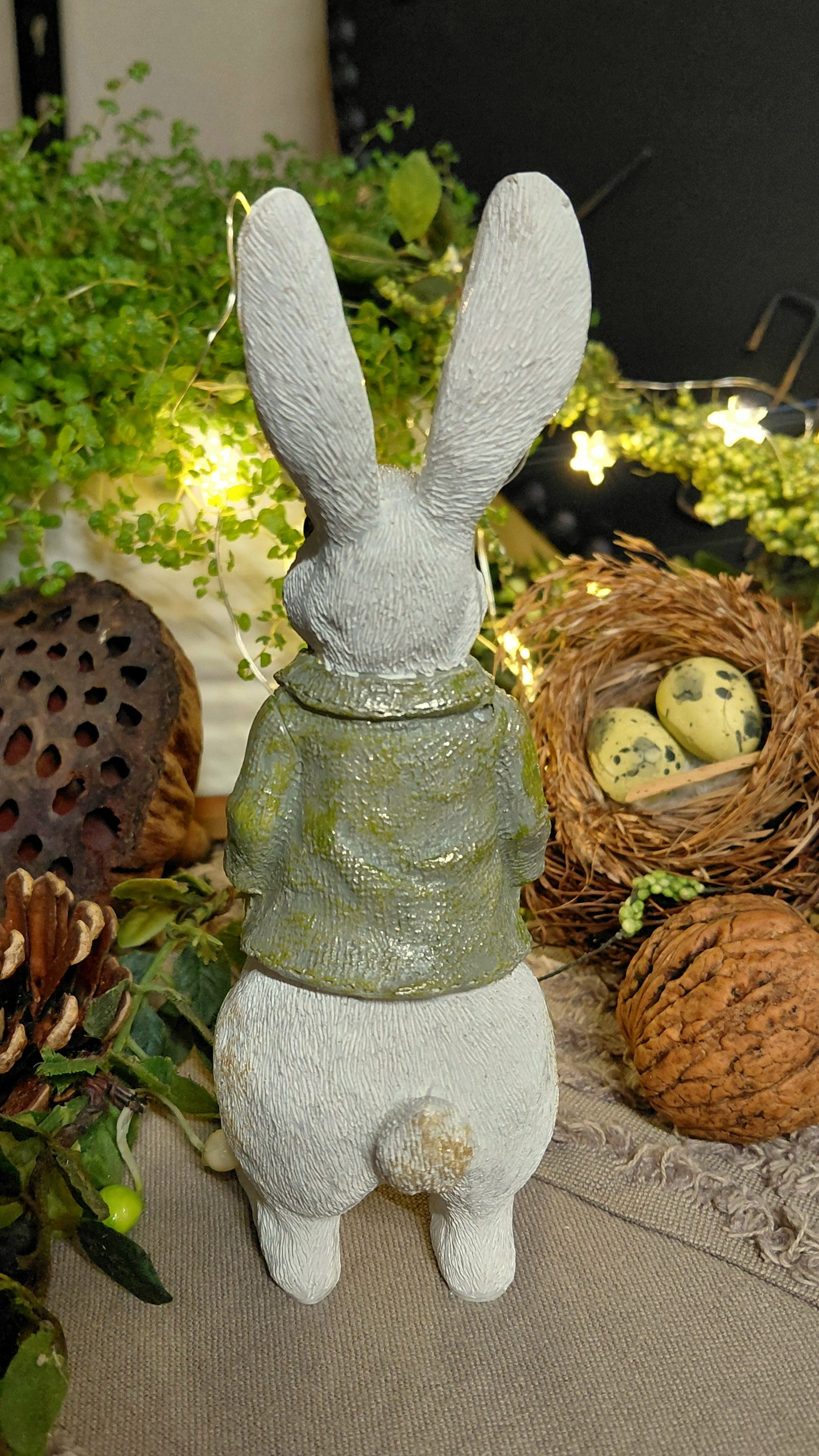 Peanut The Bunny from Yorkshire