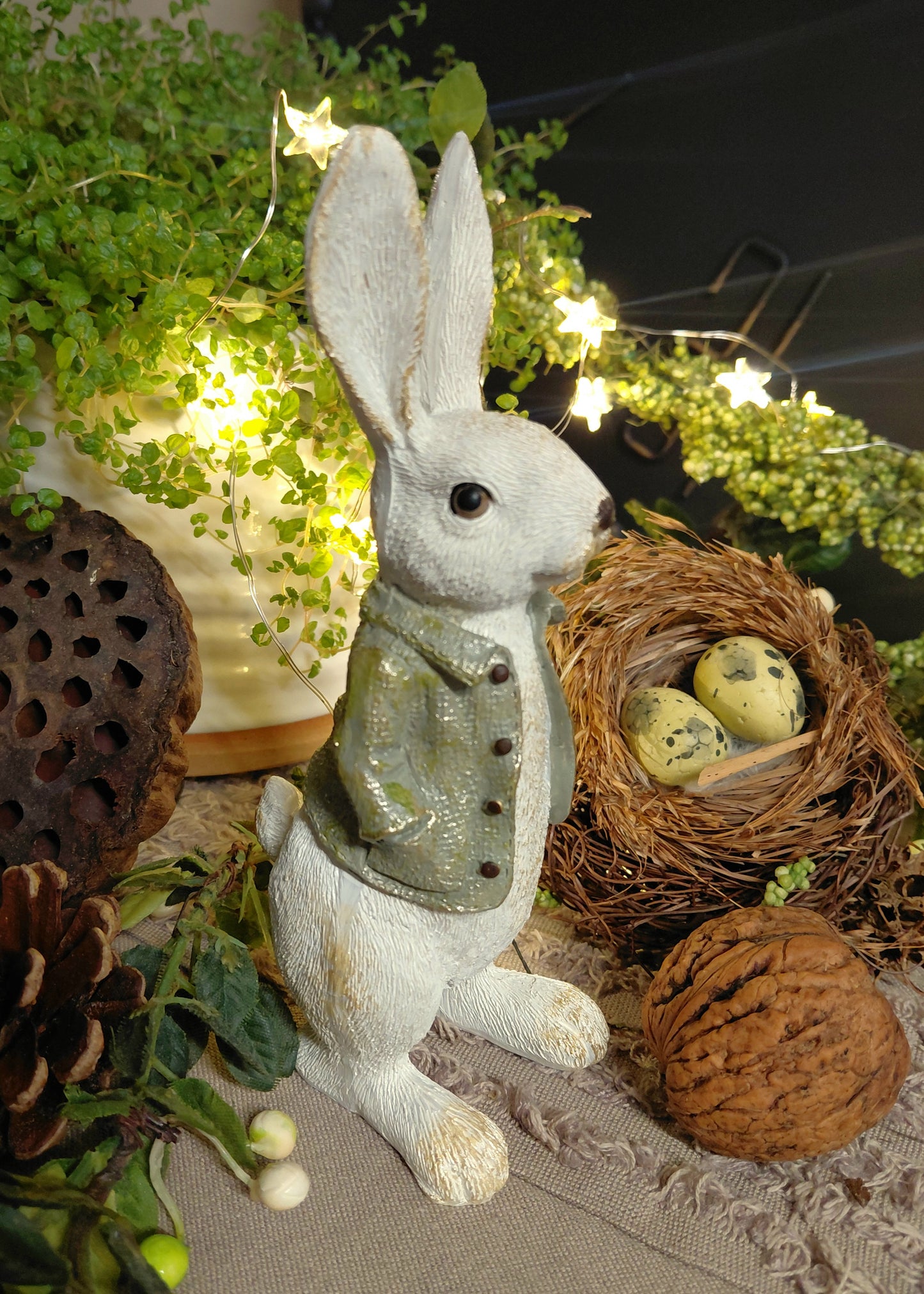 Peanut The Bunny from Yorkshire